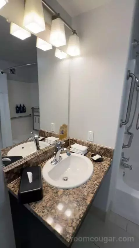 Studio, Queen Bed, Sofa Bed, ADA (#519) bathroom picture #11
