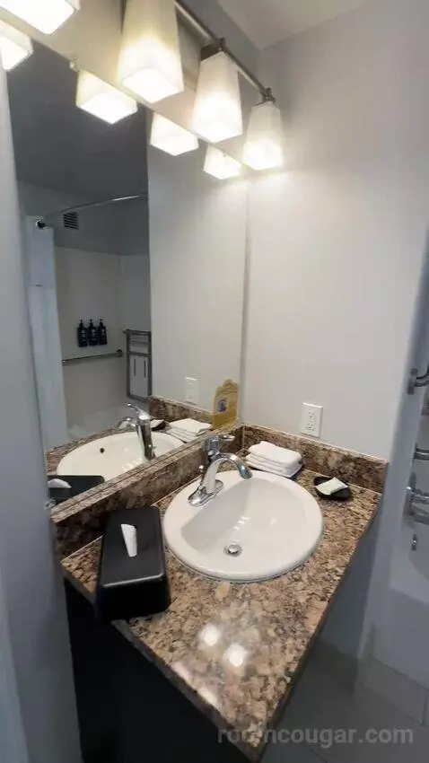 Studio, Queen Bed, Sofa Bed, ADA (#519) bathroom picture #12