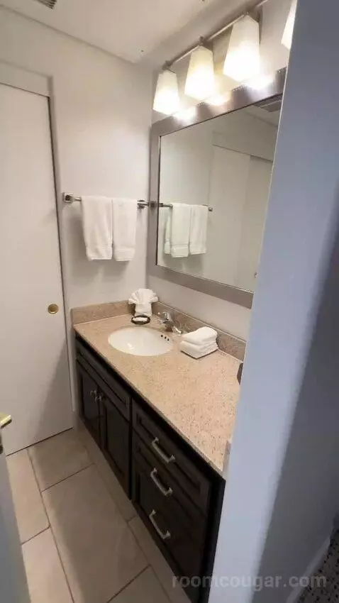 Studio, 1 Queen, Sofa Bed, Less Desirable Location (#520) bathroom picture #3