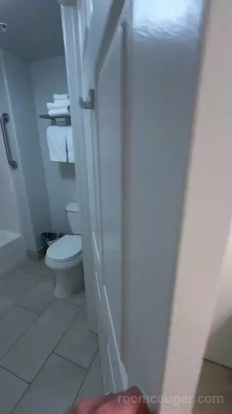 Studio, 1 Queen, Sofa Bed, Less Desirable Location (#520) bathroom picture #5