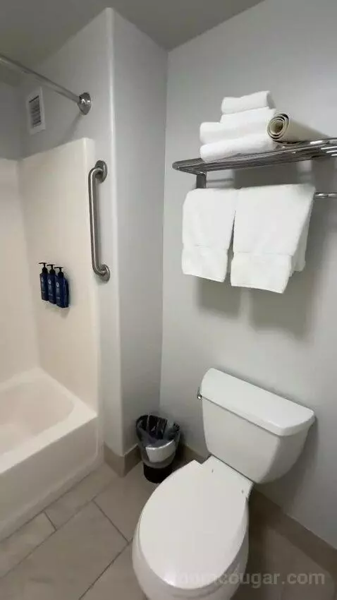 Studio, 1 Queen, Sofa Bed, Less Desirable Location (#520) bathroom picture #6