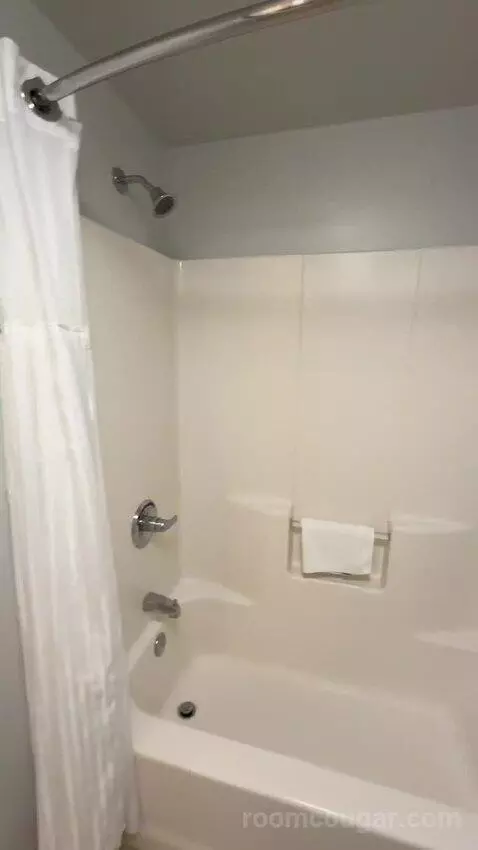Studio, 1 Queen, Sofa Bed, Less Desirable Location (#520) bathroom picture #7