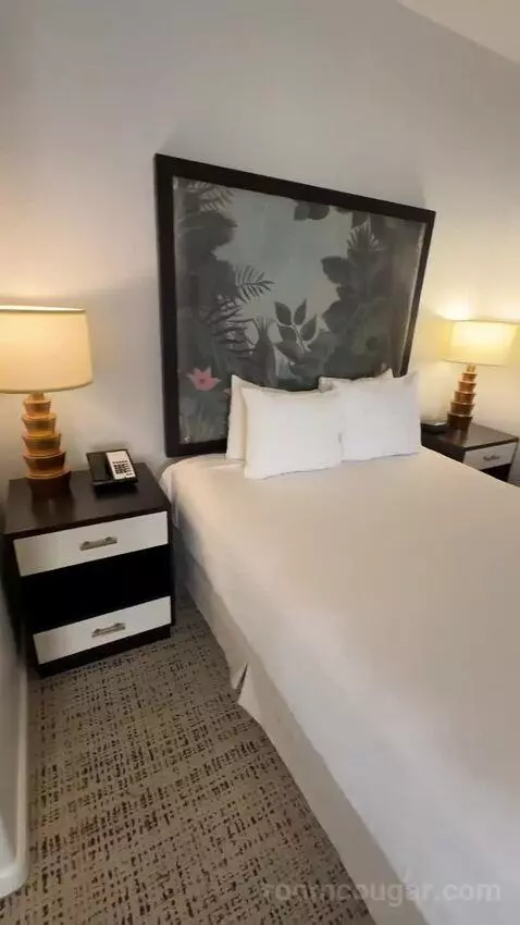 Studio, 1 Queen, Sofa Bed, Less Desirable Location (#520) bed picture #6