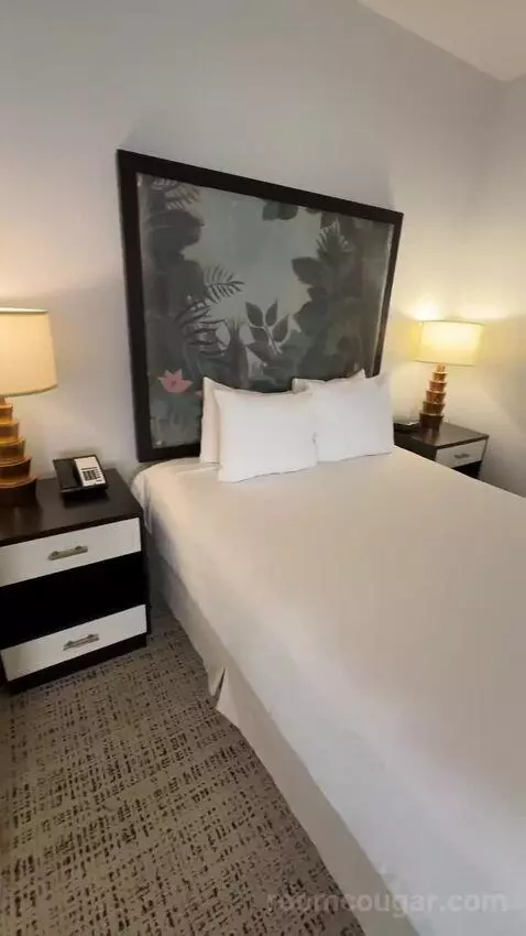 Studio, 1 Queen, Sofa Bed, Less Desirable Location (#520) bed picture #7