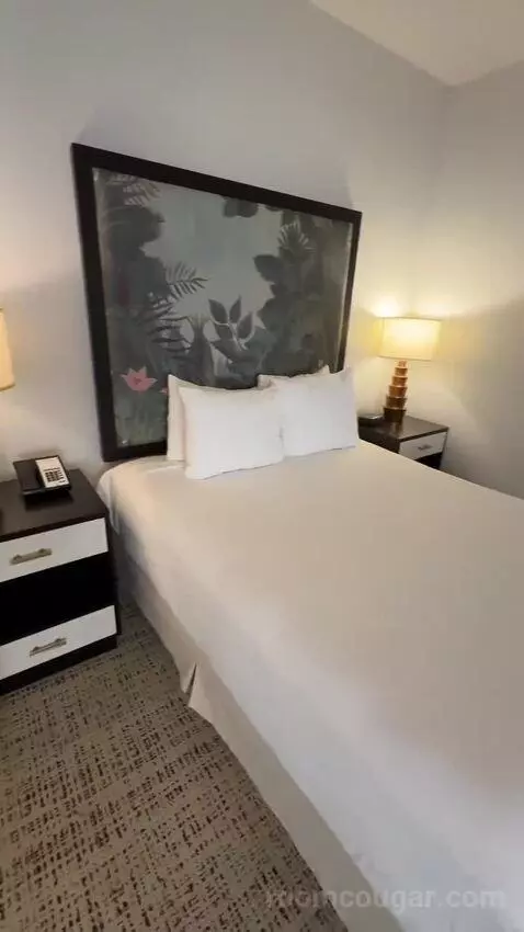 Studio, 1 Queen, Sofa Bed, Less Desirable Location (#520) bed picture #8