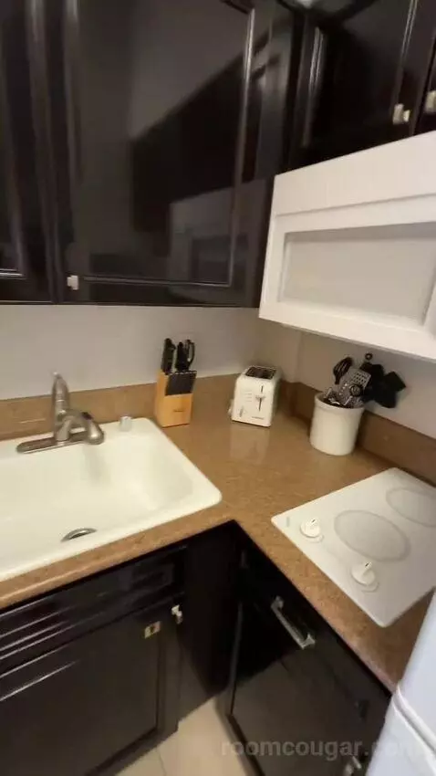 1 Bedroom Suite (#401) bathroom picture #1