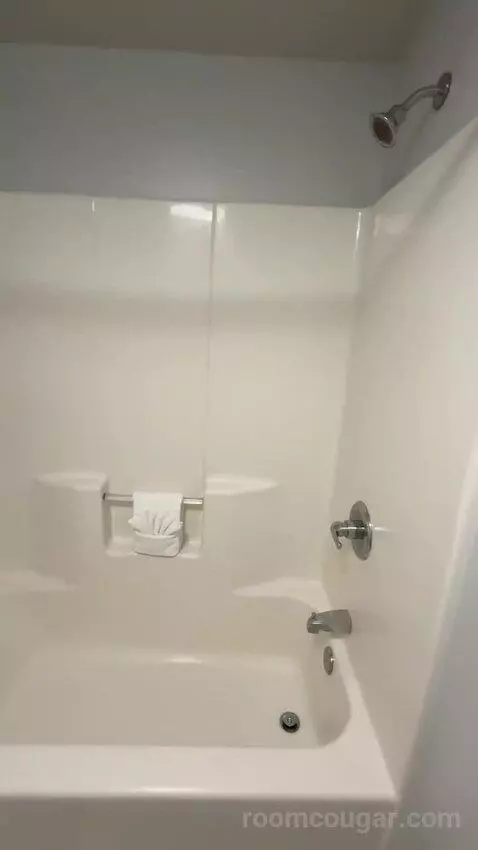 1 Bedroom Suite (#401) bathroom picture #4