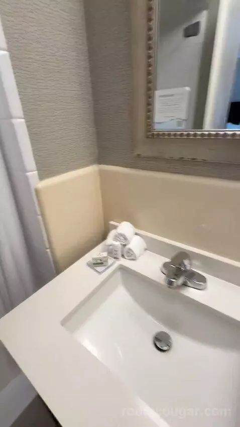 Queen Room with Two Queen Beds (#210) bathroom picture #4