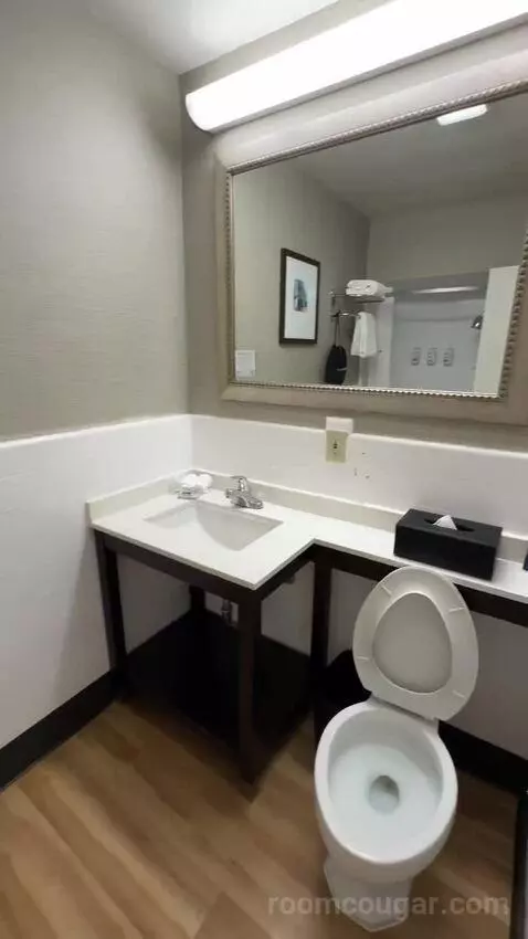 King Room (#204) bathroom picture #3