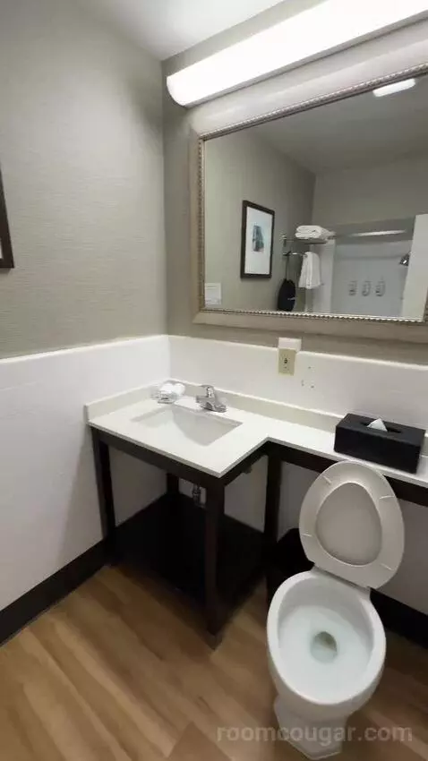 King Room (#204) bathroom picture #4