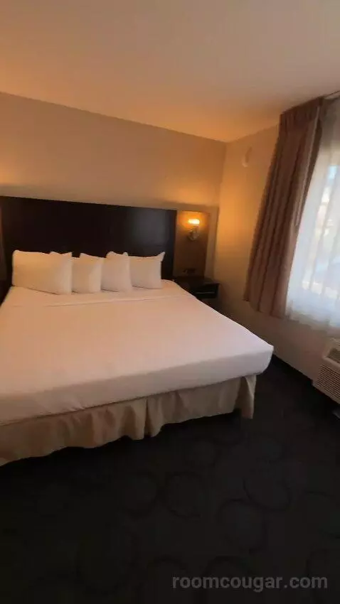 King Room (#204) bed picture #1