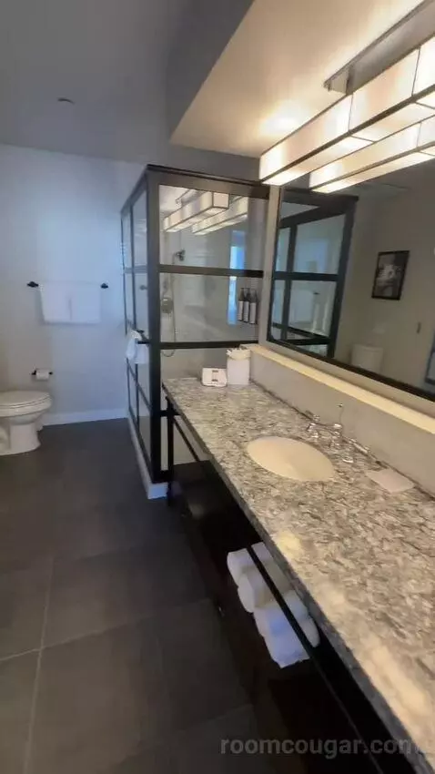 Suite 1 King, Sofa Bed, City View (#1206) bathroom picture #1