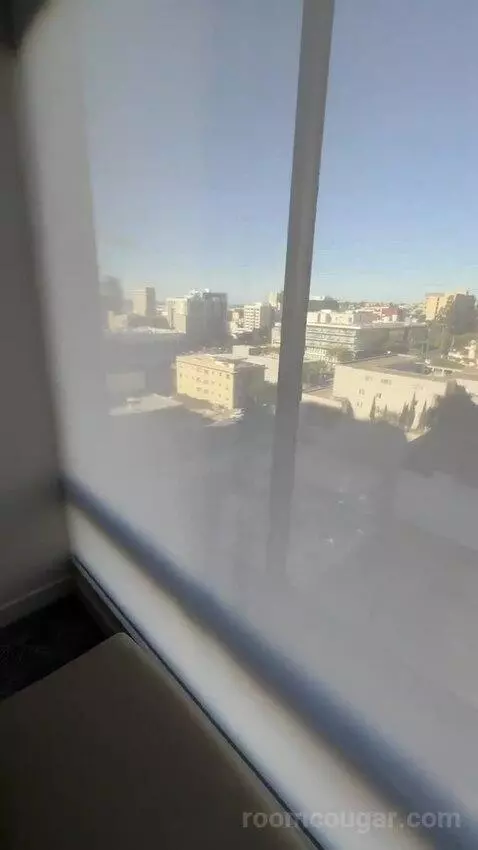 Suite 1 King, Sofa Bed, City View (#1206) view picture #8