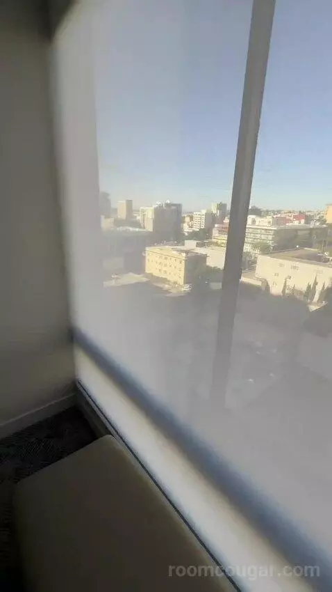 Suite 1 King, Sofa Bed, City View (#1206) view picture #9