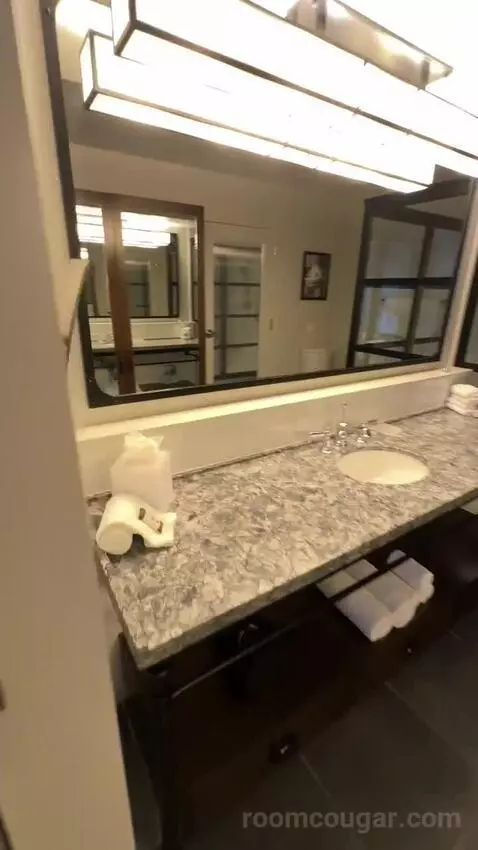 Suite 1 King, Sofa Bed (#1203) bathroom picture #5