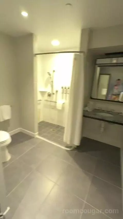Suite 2 Double, Sofa Bed, Accessible (#1402) bathroom picture #3