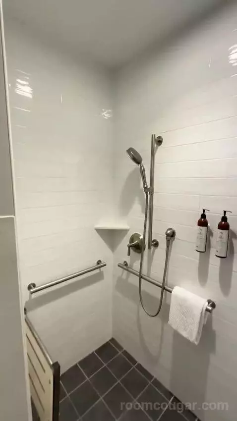 Suite 2 Double, Sofa Bed, Accessible (#1402) bathroom picture #6
