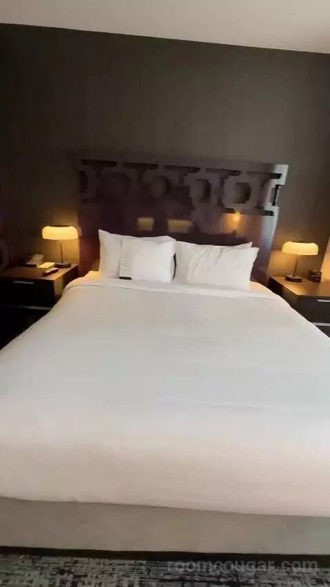 Executive King Room with Sofa Bed and City View (#820) bed picture #3