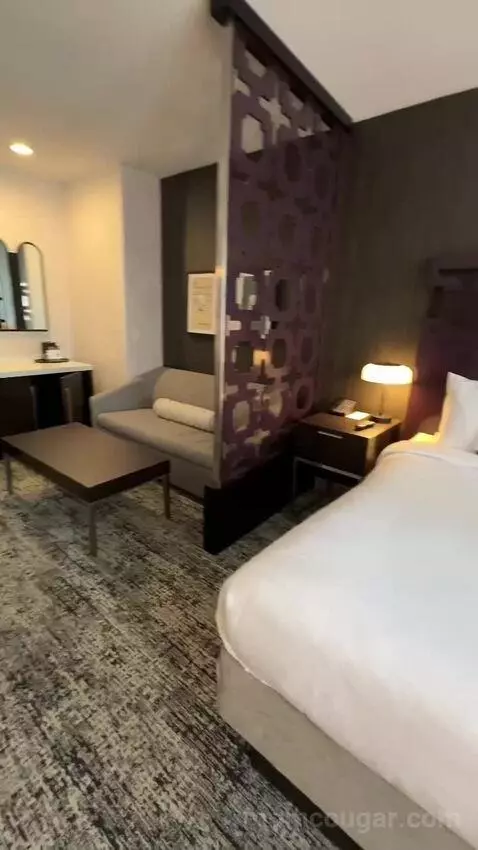 Executive King Room with Sofa Bed and City View (#820) bed picture #4