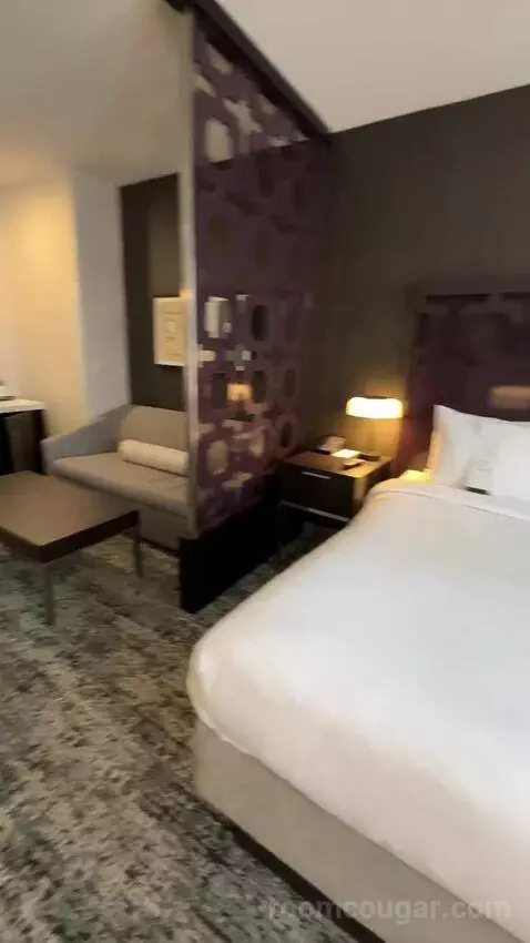 Executive King Room with Sofa Bed and City View (#820) bed picture #5