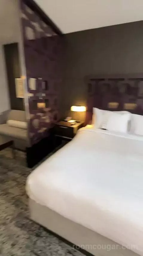 Executive King Room with Sofa Bed and City View (#820) bed picture #6