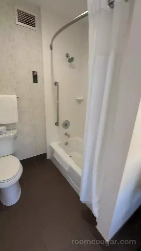 Executive King Room with Sofa Bed and City View (#820) bathroom picture #6