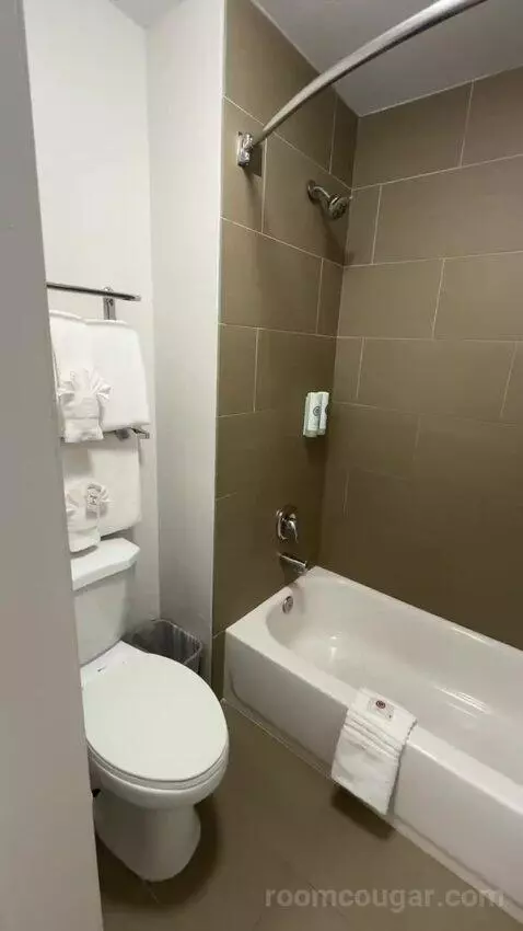 2 Double Beds (#101) bathroom picture #1