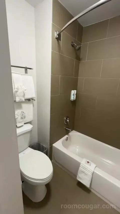 2 Double Beds (#101) bathroom picture #3