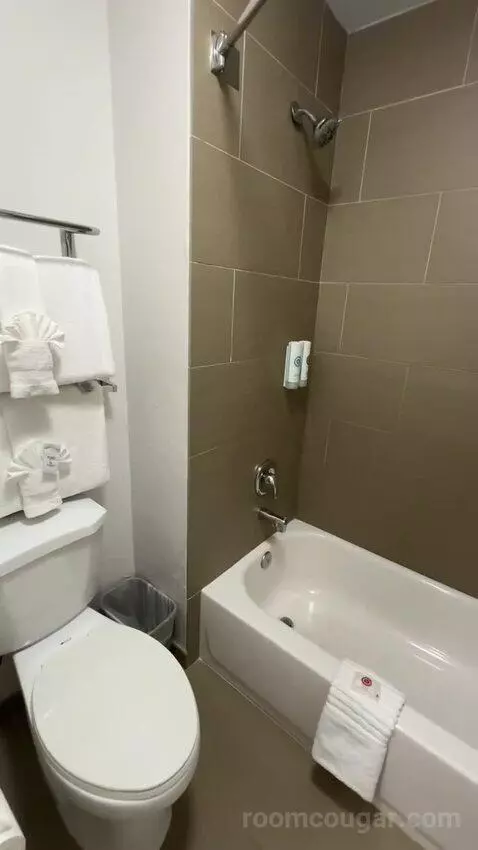 2 Double Beds (#101) bathroom picture #4