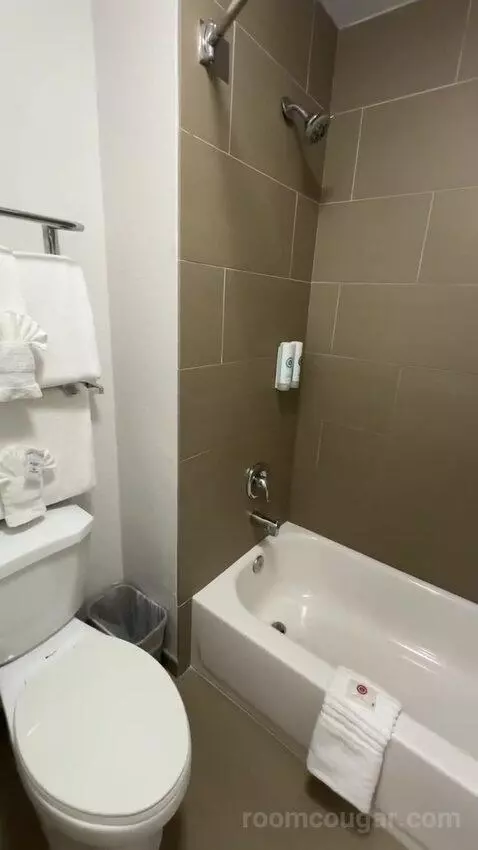 2 Double Beds (#101) bathroom picture #5