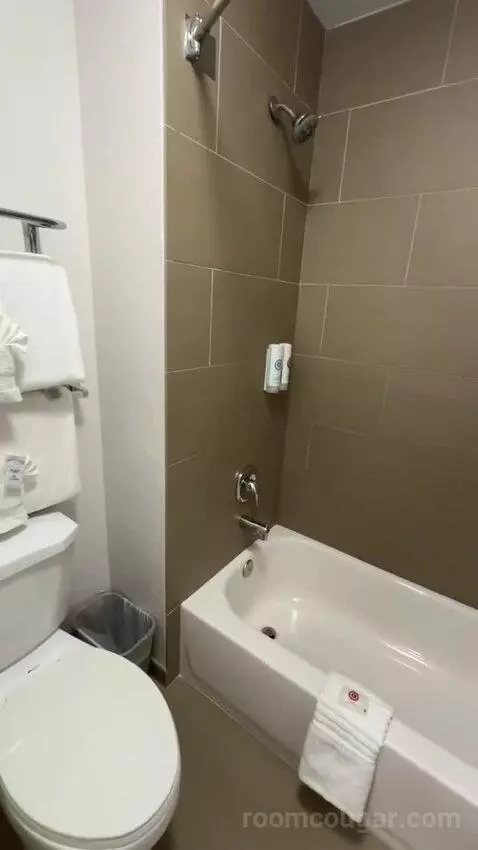 2 Double Beds (#101) bathroom picture #6