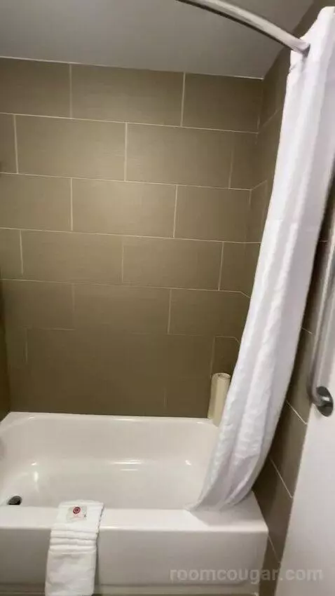 2 Double Beds (#101) bathroom picture #7
