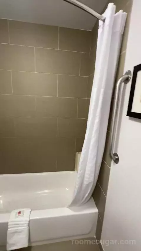 2 Double Beds (#101) bathroom picture #9