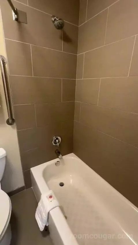 Standard Room One Queen Bed (#105) bathroom picture #4