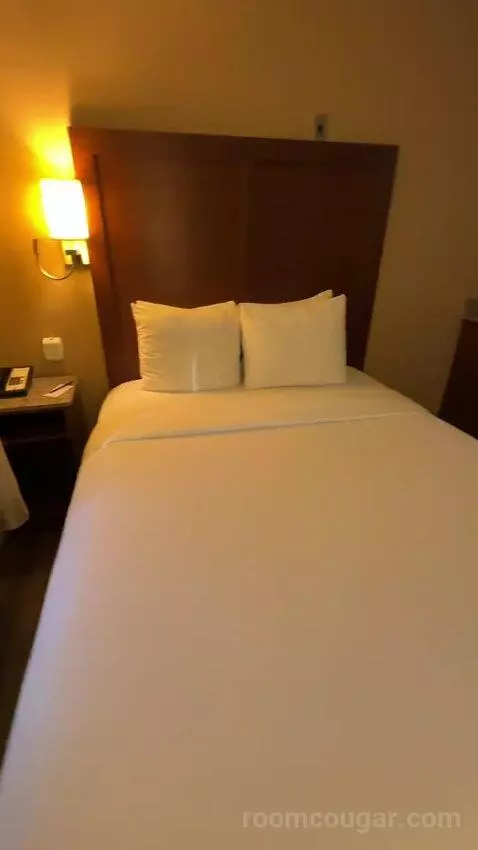 Standard Room One Queen Bed (#105) bed picture #9