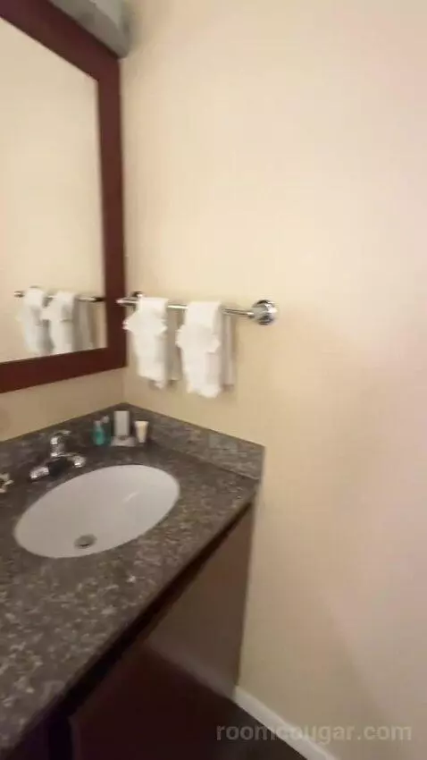 Standard Room One Double Bed (#122) bathroom picture #11