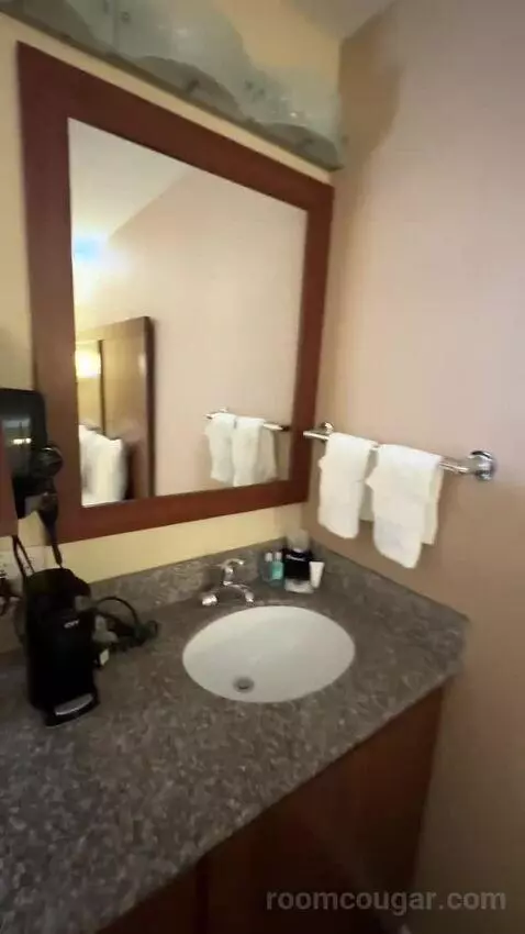 Standard Room One King Bed (#209) bathroom picture #10