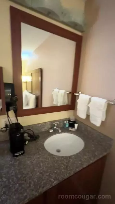 Standard Room One King Bed (#209) bathroom picture #11