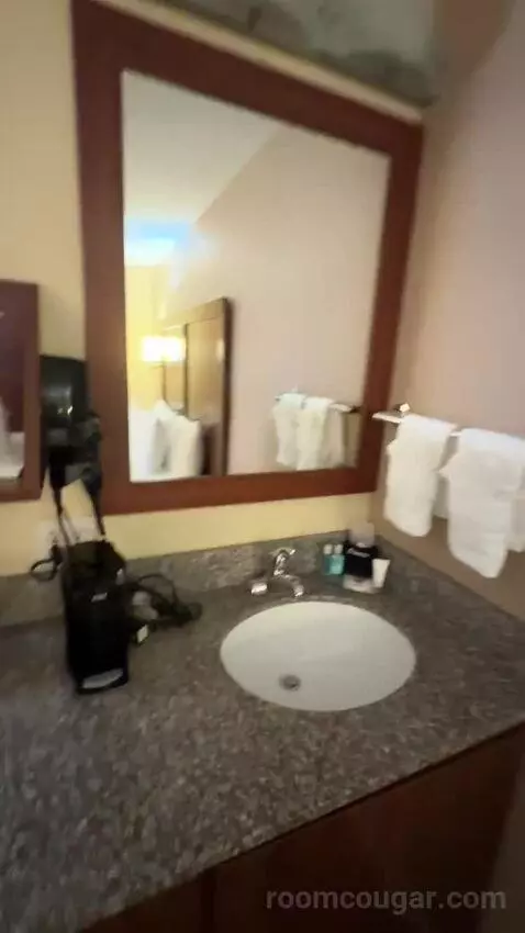 Standard Room One King Bed (#209) bathroom picture #12