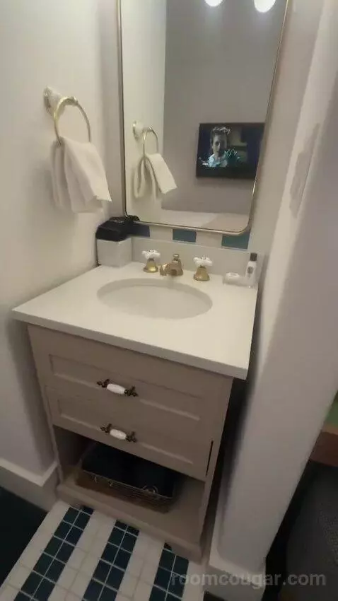Deluxe King Room (#210) bathroom picture #1