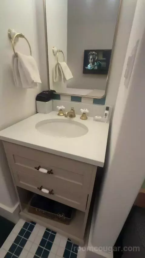 Deluxe King Room (#210) bathroom picture #2
