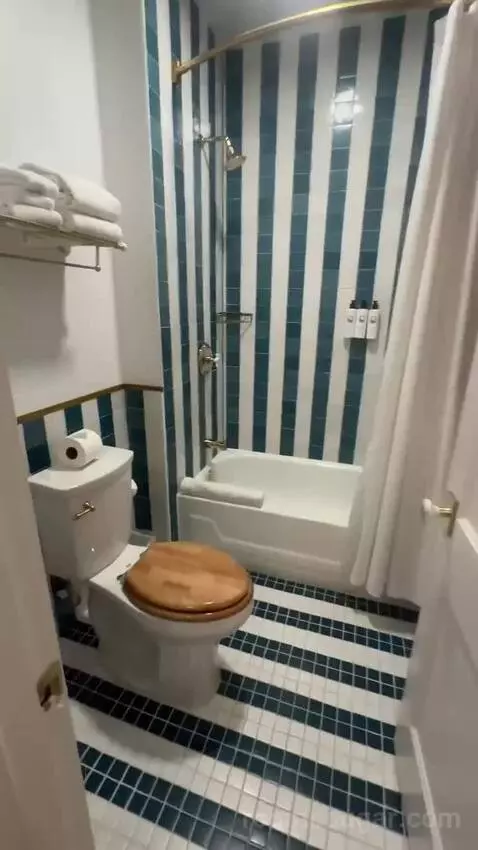 Deluxe King Room (#210) bathroom picture #8