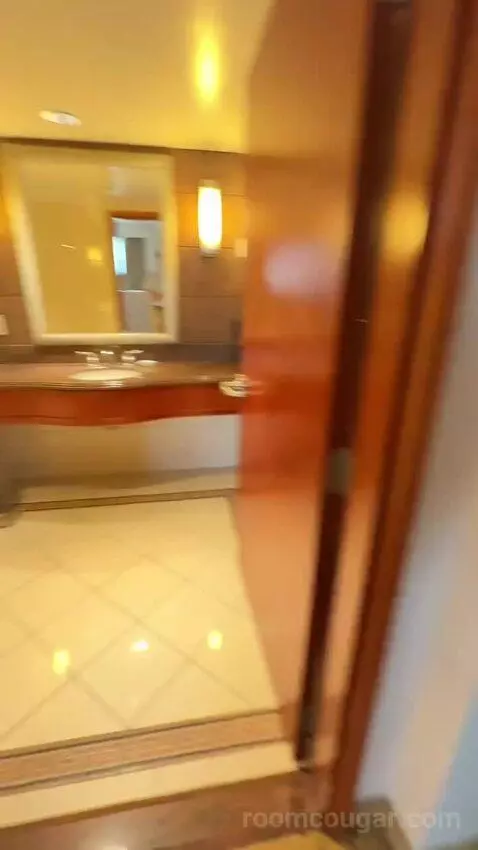 1 Bedroom 2 Room Suite, 1 King (#1119) bathroom picture #1
