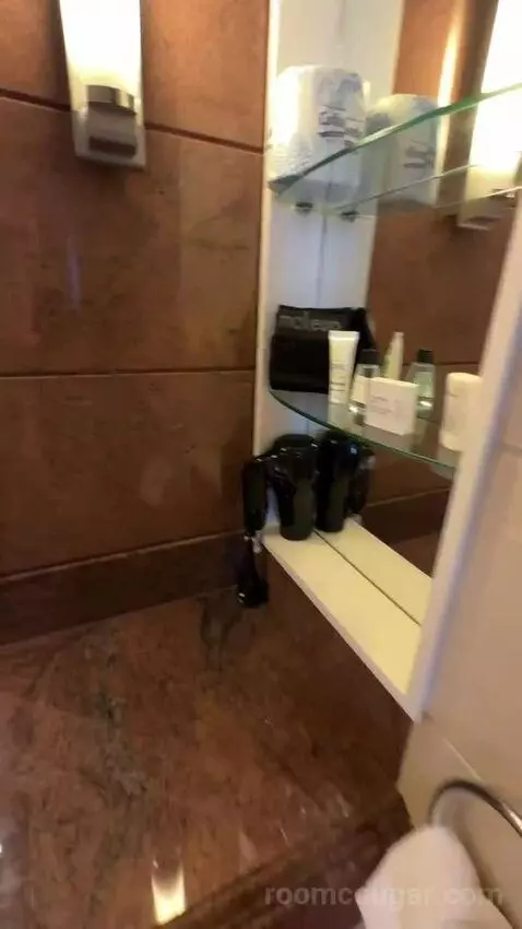 1 Bedroom 2 Room Suite, 1 King (#1119) bathroom picture #5