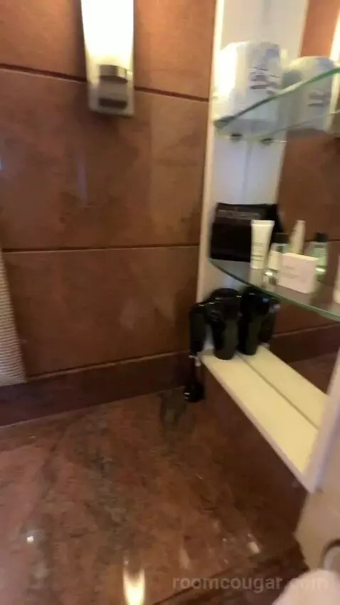1 Bedroom 2 Room Suite, 1 King (#1119) bathroom picture #6