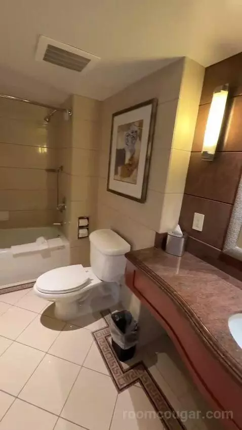 1 Bedroom 2 Room Suite, 1 King (#1119) bathroom picture #7