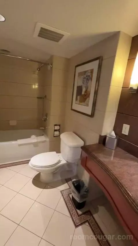 1 Bedroom 2 Room Suite, 1 King (#1119) bathroom picture #8