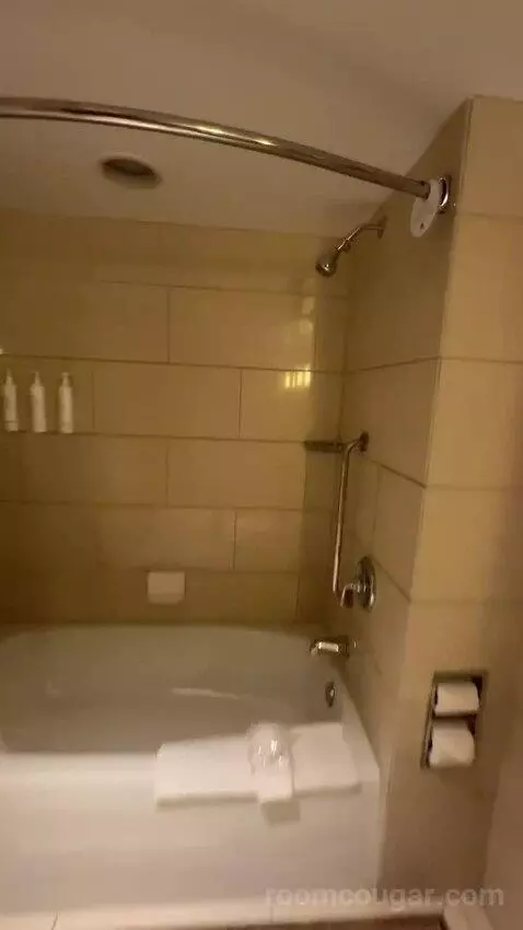 1 Bedroom 2 Room Suite, 1 King (#1119) bathroom picture #9