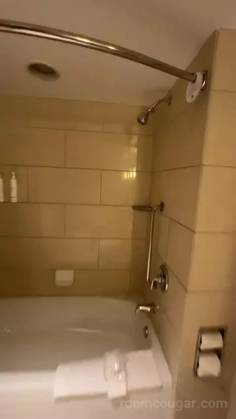 1 Bedroom 2 Room Suite, 1 King (#1119) bathroom picture #10