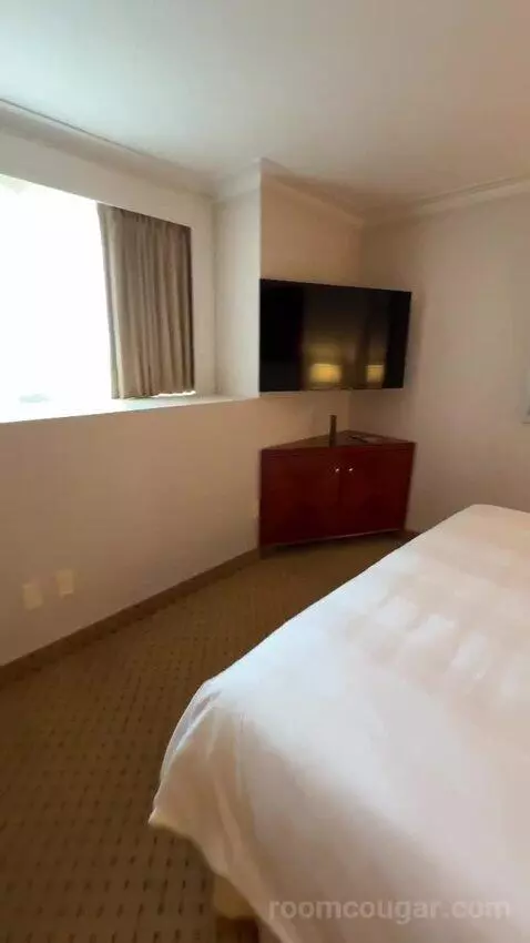 1 Bedroom 2 Room Suite, 1 King (#1119) bed picture #8